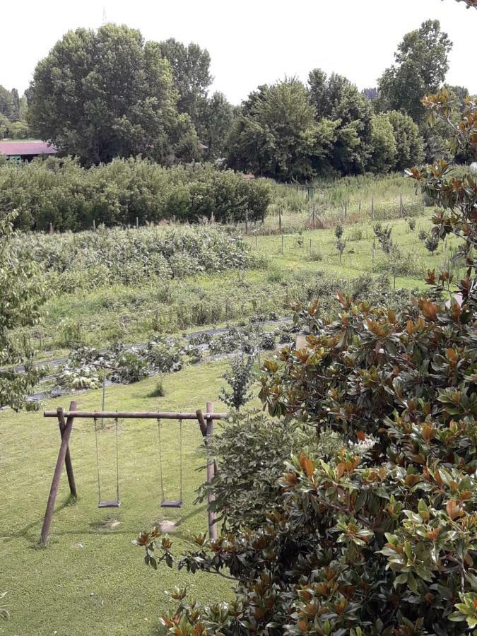 Pecore Ribelli Mira Dış mekan fotoğraf